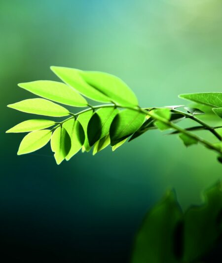 ravi-subramanyan-Pj3RGcWQveA-unsplash